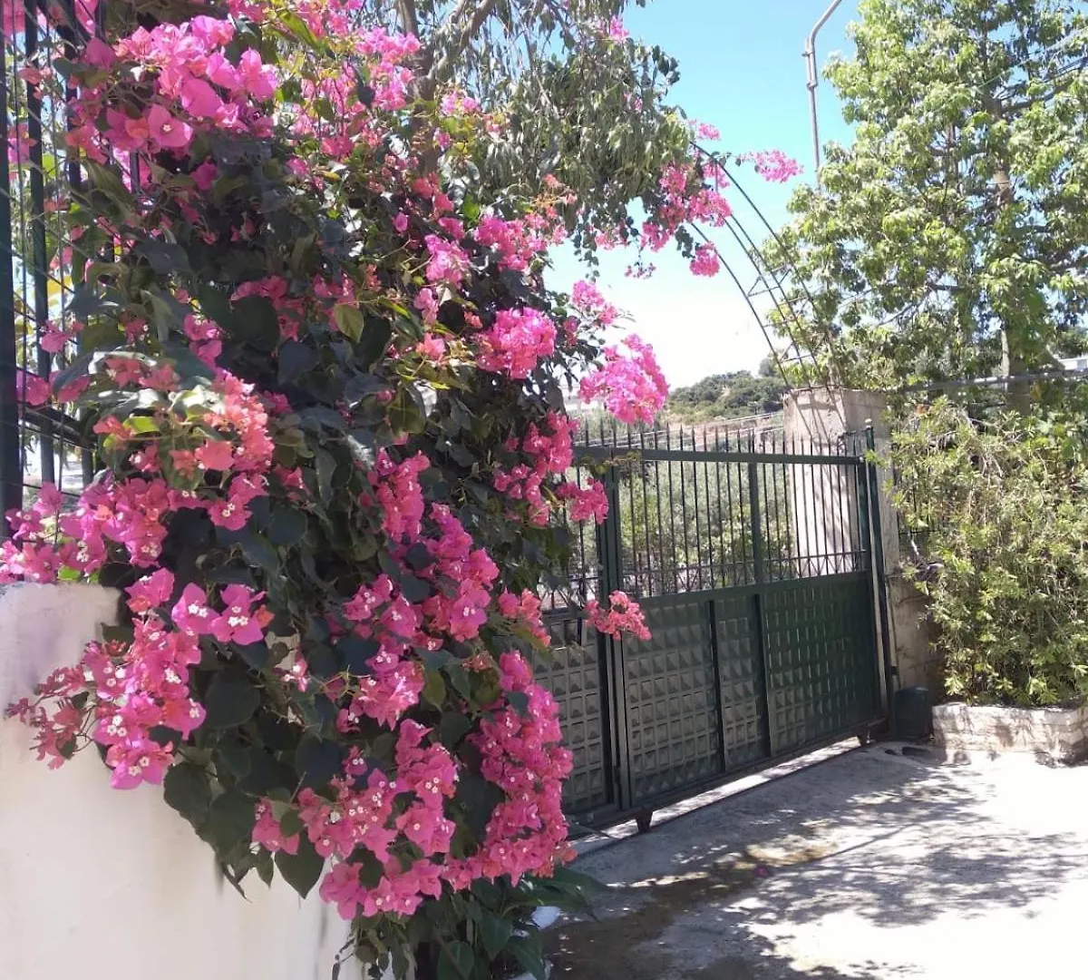 Oasis Hostel 希马拉